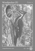 wildlife Card 57