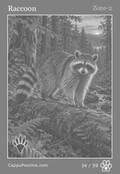 wildlife Card 34