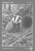 wildlife Card 03