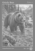 wildlife Card 59