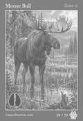 wildlife Card 28