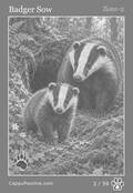 wildlife Card 02