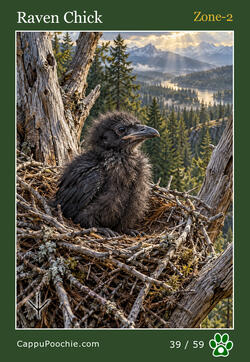 wildlife Card 39