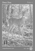 wildlife Card 14