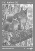 wildlife Card 44