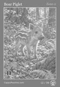 wildlife Card 12