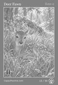 wildlife Card 15