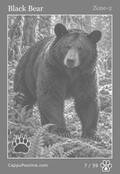 wildlife Card 07