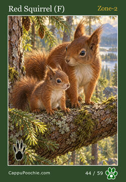 wildlife Card 44