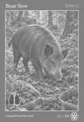 wildlife Card 11