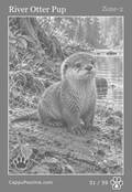 wildlife Card 51
