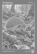 wildlife Card 22