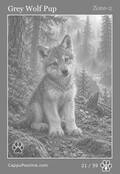 wildlife Card 21