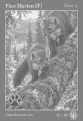 wildlife Card 32