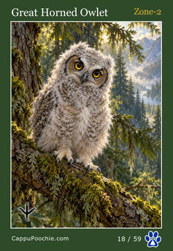 wildlife Card 18