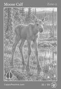 wildlife Card 30