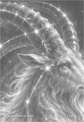 zodiac Card 063