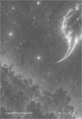 zodiac Card 090
