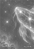 zodiac Card 079
