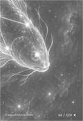 zodiac Card 066