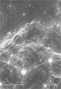 zodiac Card 059