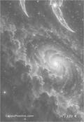zodiac Card 036
