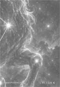zodiac Card 081