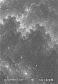 zodiac Card 102