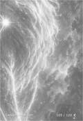 zodiac Card 105