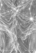 zodiac Card 058