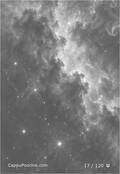 zodiac Card 017