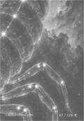 zodiac Card 067
