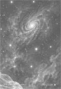 zodiac Card 080