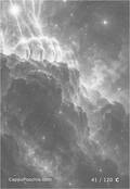 zodiac Card 041