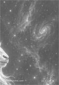 zodiac Card 032
