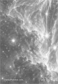 zodiac Card 038
