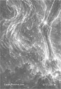 zodiac Card 057
