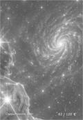 zodiac Card 082