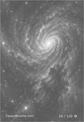 zodiac Card 024